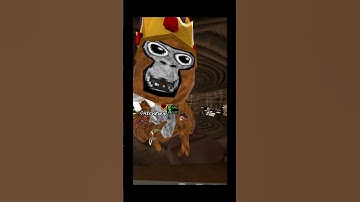 Joining My Fan Code Day 2 #gorillatag #gorillatagquest #gtag