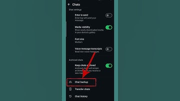 Whatsapp Update | Set Your Chat Backup Using Cellular Data #shorts #whatsappsettings #viralvideo