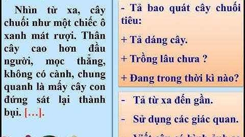 Tập làm văn: Luyện tập xây dựng đoạn văn trong bài văn miêu tả cây cối