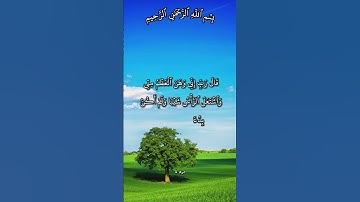 تلاوة تهز القلوب بدعاء يشرح الصدر ويُريح القلوب آية 4 من سورة مريم بصوت مشاري راشد العفاسي