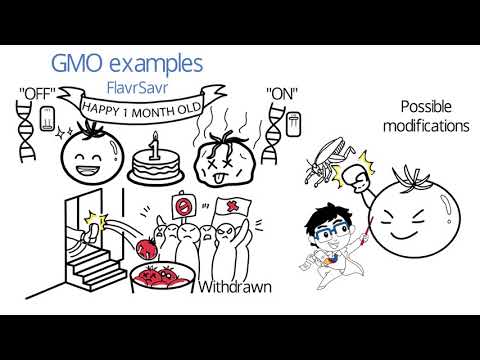 Video: Nie je Bonnie GMO?