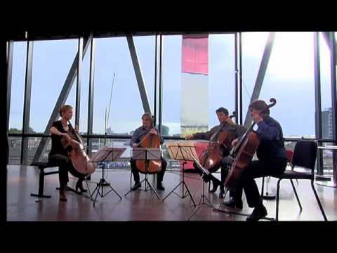 Cello Biennale Stringquartet 2010 - Alexander Koez...