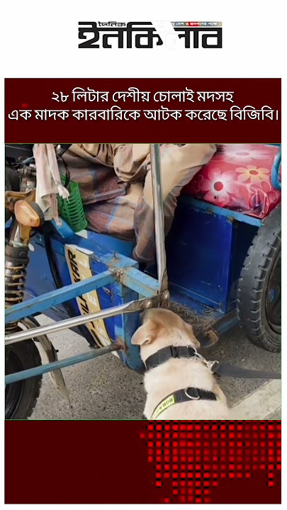 Jinsiy aloqa qichqiradi Paypoq kiygan qiz bilan haqiqiy jinsiy aloqa video