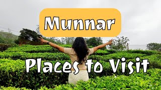 Munnar Places to Visit | Road Trip | Tea Museum | Ripple waterfalls