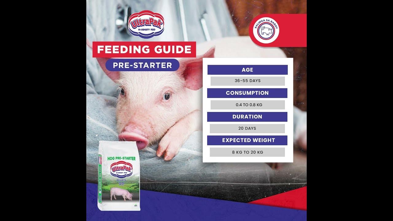 ultrapak-prestarter-feeding-guide-youtube