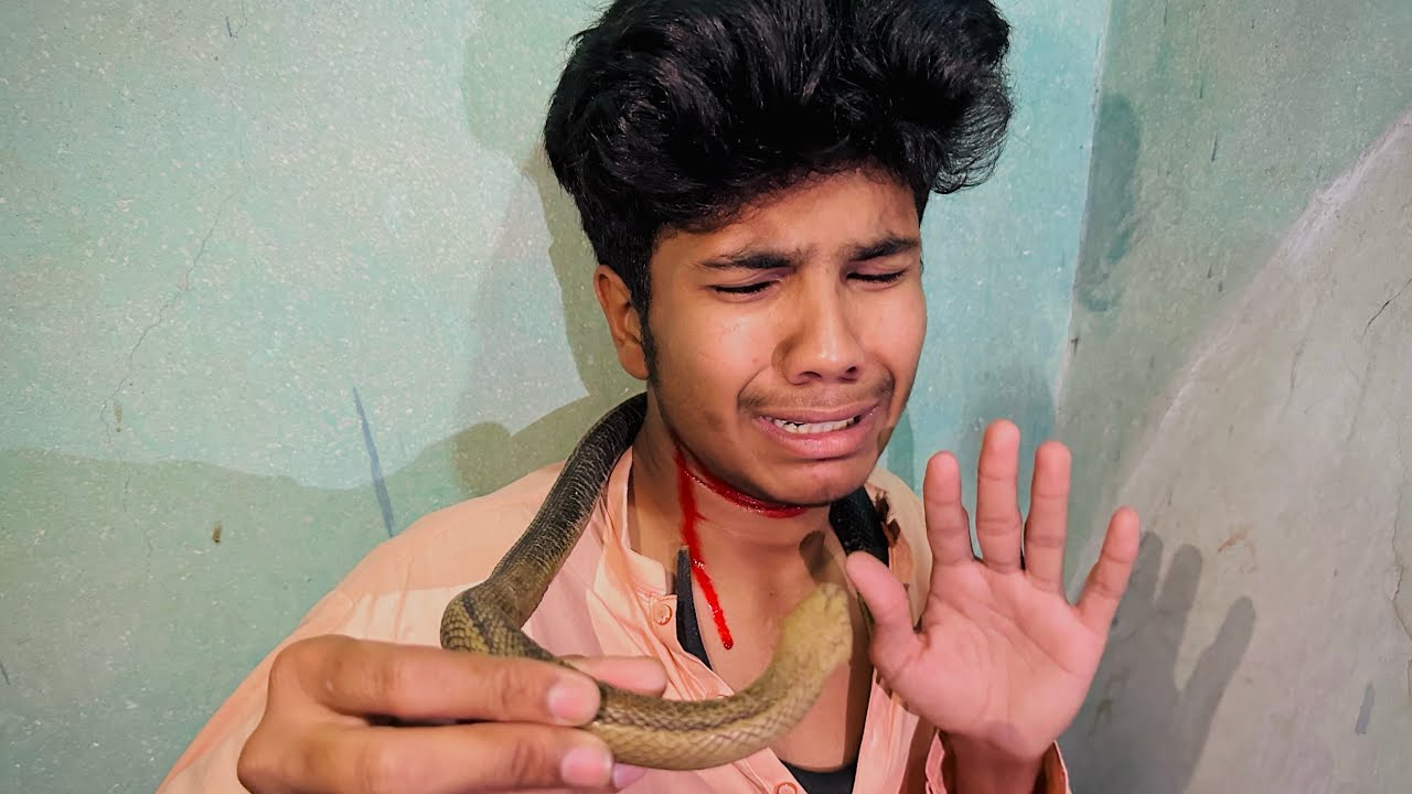 إنقاذ مريض من الموت بعد لدغة ثعبان بمستشفى طامية بالفيوم