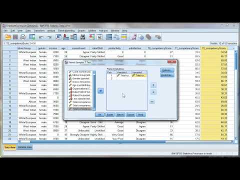 Paired t-test using SPSS