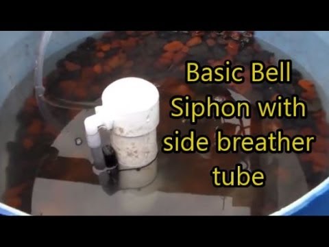 Aquaponics Basic Bell Siphon test with side breather tube ...