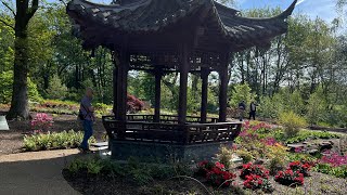 The Chinese Streamside garden at RHS Bridgewater