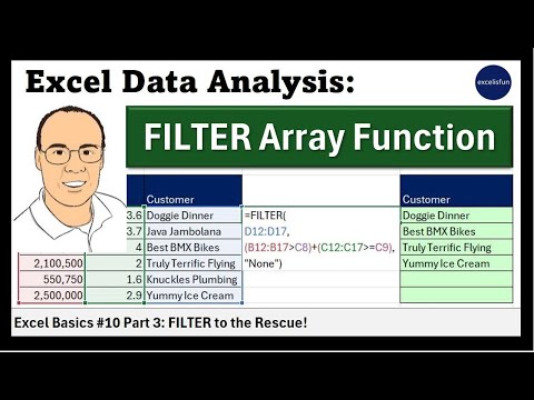 MS 365 Excel Basics #10 Part 03: FILTER Array Function to Dynamically Filter!