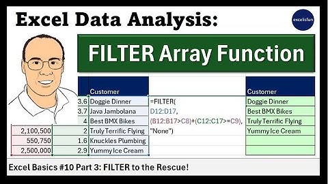 MS 365 Excel Basics #10 Part 03: FILTER Array Function to Dynamically Filter!