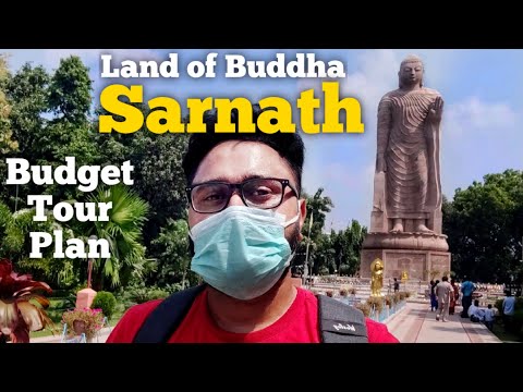 Video: Sarnath: The Complete Guide