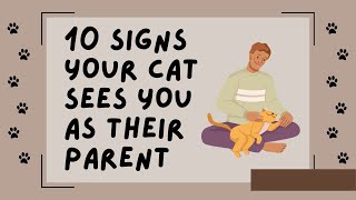 10 Signs Your Cat Sees You as Their Parent