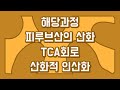 생명과학2 세포 호흡의 과정 생명과학2 세포 호흡의 과정