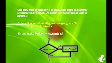 Estructura de selección if - Programación en Java/C/C++