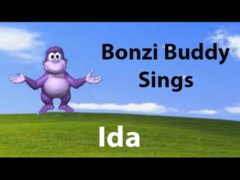 bonzi buddy sings john cena