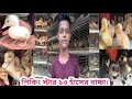 429 পিকিং স্টার ১৩ হাঁসের বাচ্চা রানার ব্লাক হোল ক্যামবেল হাঁসের বাচ্চা । Aseel & Chicken BD।
