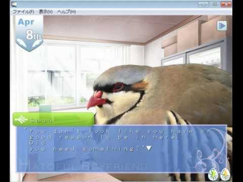 Video: Bird Dating Sim Hatoful -poikaystävä Saa Englanninkielisen Uusinnan