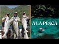 Un día de recolección exitoso | A la pesca