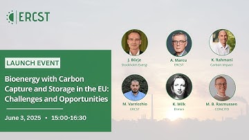 Bioenergy with Carbon Capture and Storage in the EU: Challenges and Opportunities