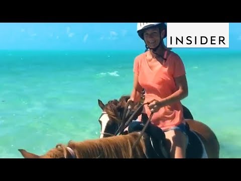 Ride Horses in the Caribbean