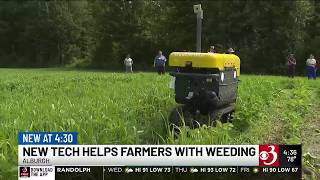 Vermont farmers get a look at weeding robots