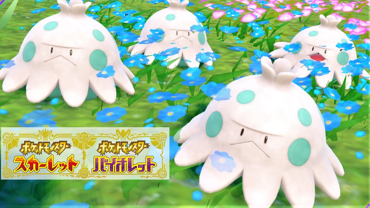 【可愛い】キノココ6匹に囲まれて癒されピクニック【ポケモンSV】 - YouTube