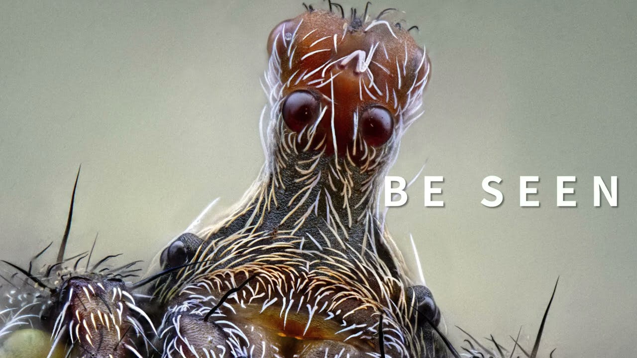 Laowa Aurogon FF 10-50x NA0.5 Supermicro APO