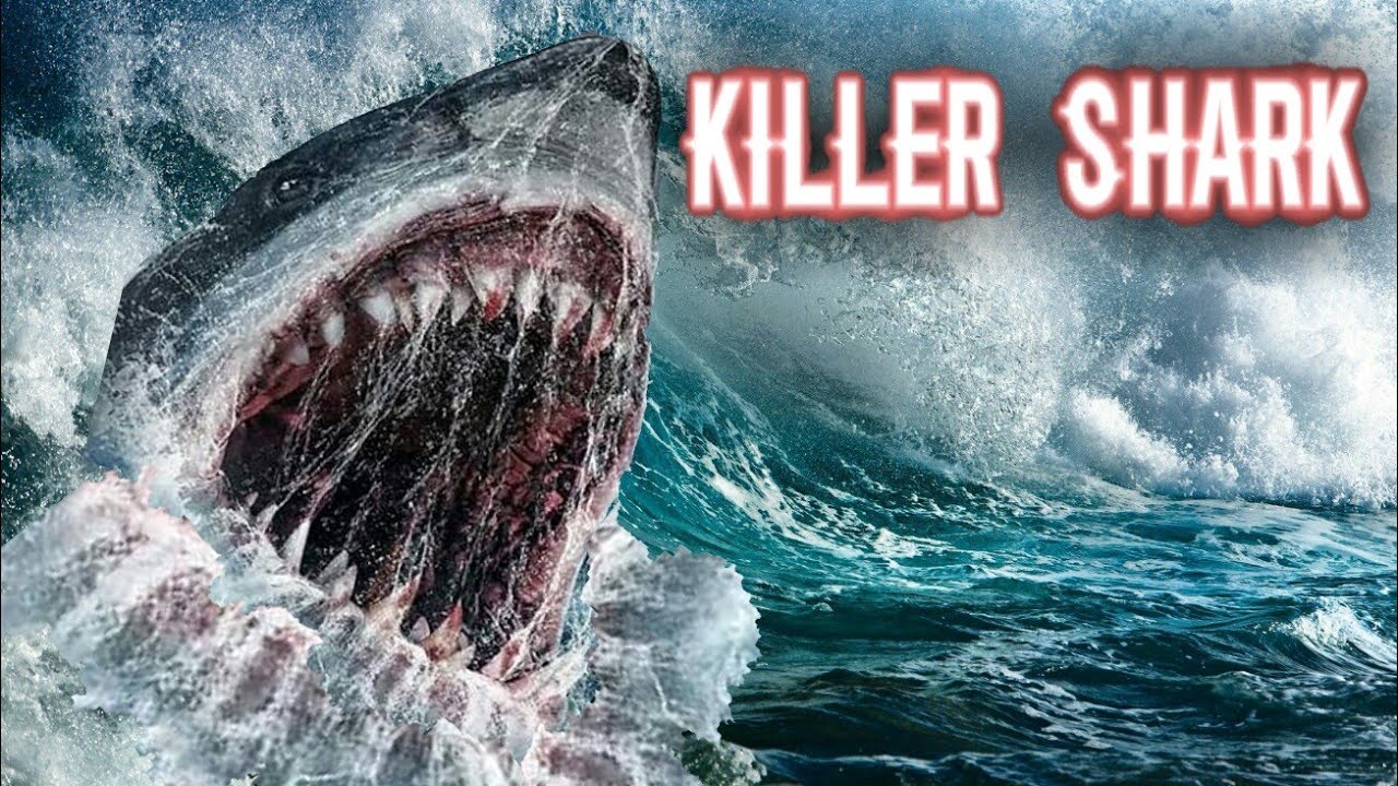 repertoire zakdoek Creatie KILLER SHARK / MUSIC VIDEO - YouTube