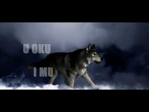 Miki Radojević - Da sam makar vuk [Official Music Video]