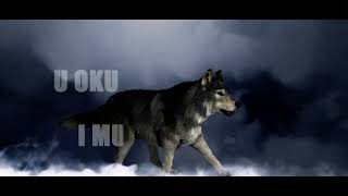 Miki Radojević - Da Sam Makar Vuk Official Music Video