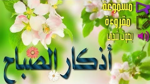 أذكار الصباح بصوت علاء عقل ❤️❤️إبدأ يومك بذكر الله 