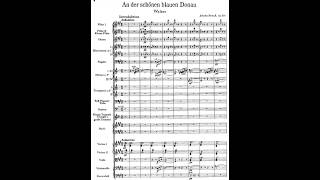 Johann Strauss II: An der schönen blauen Donau/Blue Danube Waltz (with score)