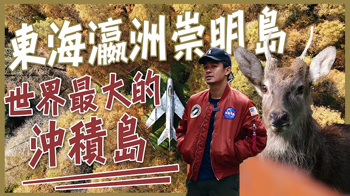 【上海】秋天来绝对美爆你！东海瀛洲崇明岛！中国大陆最大的河口冲积岛！ - 天天要闻