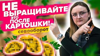 КАК СПЛАНИРОВАТЬ ПОСАДКИ? Севооборот