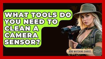 What Tools Do You Need To Clean A Camera Sensor? - Bird Watching Diaries