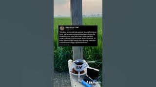 Rasane Kademen Neng Gon Panasan?🤔 #shorts #reaction #tiktok #fyp #kopi
