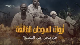 ثروات السودان الضائعة.. من يدمر أرض السُمر؟