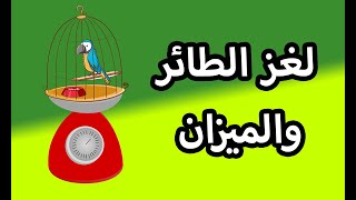 لغز فيزيائي .. اذا طار هذا الطائر داخل القفص فهل ستقل قراءة الميزان؟