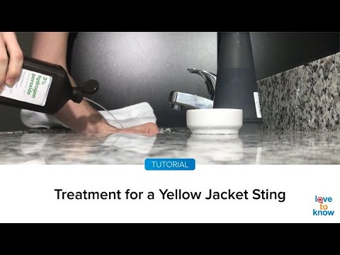 Treatment For A Yellow Jacket Sting