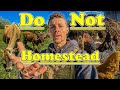 5 reasons you should not homestead