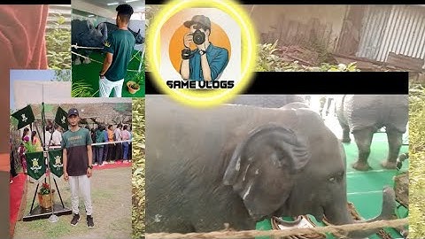 my New vlog with kokrajhar bodoland university | Same vlogs