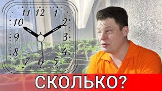 что будет если досвечивать рассаду круглосуточно, сколько на самом деле надо досвечивать рассаду