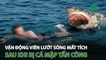 Vận động viên lướt sóng m.ấ.t t.í.c.h sau khi bị cá mập t.ấ.n c.ô.n.g | VTC14