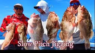 Limited Out On GROUPER in Minutes | Slow Pitch Jigging | Deep Sea Fishing Videos