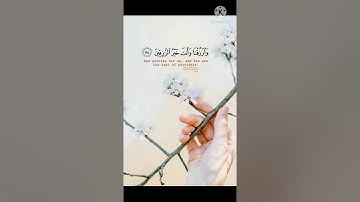 قرآن كريم .. "فسبحان الله حين تمسون وحين تصبحون" بصوت القارئ عبد الرحمن مسعد .. ❤️🕊️.
