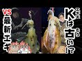 いろは同窓会後に飲酒エギング!エギ王Kと最新限定エギどっちが釣れるの?