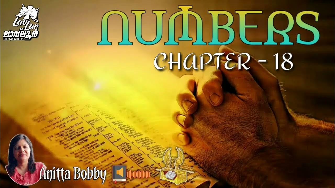 NUMBERS CHAPTER 18 English Audio Bible YouTube