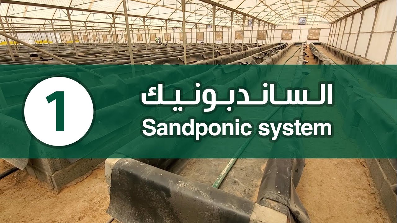 نظام الزراعة بالساندبونيك Sandponic system | فيديو 1-2