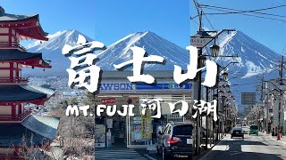 Mt.FUJI河口湖一日遊!遇見完整富士山!淺間神社🌸大石公園🇯🇵日本自由行Japan, Mt.FUJI, Kawaguchiko, Oishi Park